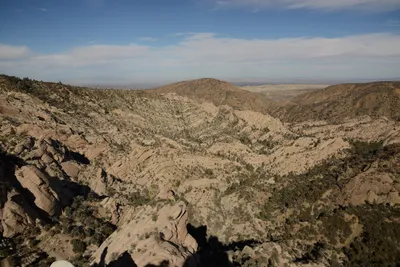 DSC_6280 (Large).JPG